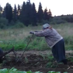 How to Plow a Field in Russia