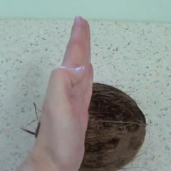 How To Crack Open a Coconut