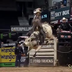 Rodeo misshaps