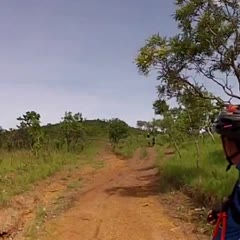 Capote de bike - Derrubando uma árvore!