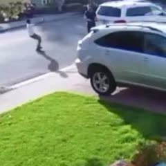 Armed robbery goes wrong
