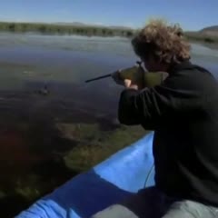 Les Nouveaux Explorateurs - Chasse au canard