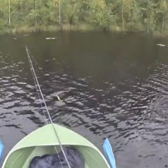 Удачная рыбалка/successful fishing