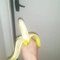Banana Butt Monkey