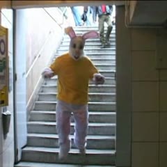 Jackass - Metro Bunny