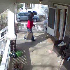 Dog Breaks Through Front Door and Chases Delivery Guy