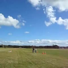 cessna 180 short field inverted finish crash