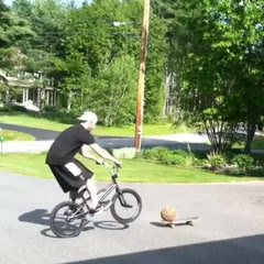 Skateboard + BMX bike + Basketball = Trick Shot