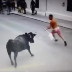 Mess with the bull, get the pole