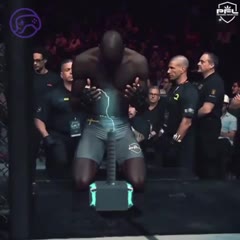 MMA video game