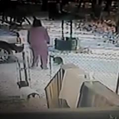 Cat attacks woman in the snow