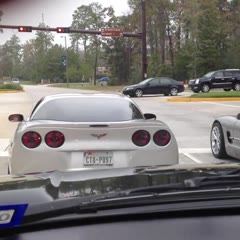 Two Turkeys on Thanksgiving Wrecking their Corvettes in The Woodlands