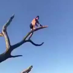 Hombre cae de unas ramas al romperse