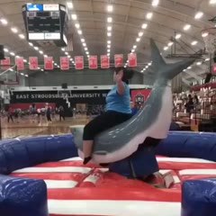 Fun on the rodeo shark