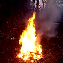 Jumping Through Fire Fail