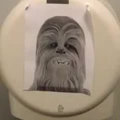 Chewbacca Toilet paper