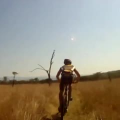 Mountain Biker gets taken out by BUCK