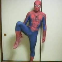 Kung Fu Farting Spiderman