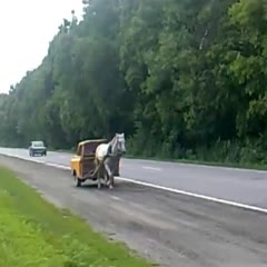 One Horsepower Car!