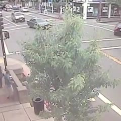 Runaway car in San Rafael nearly hits Guide Dogs for the Blind trainers