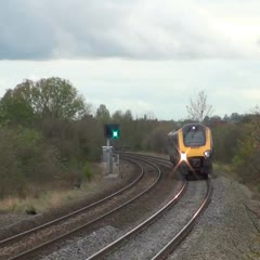 Pigeon Hit By Train and Explodes Spectacularly