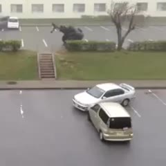 Typhoon Jelawat Over Turns a Car in Okinawa