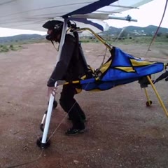 Motorized Hangglider Crashes Into Tree