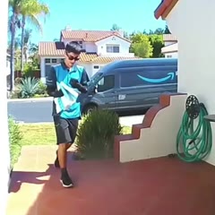 Swatting at a fly while delivering a package