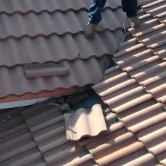 Bat Infestation Under Tile Roof- Roofing Miami, FL