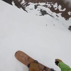 Dog tumbling down a ski run