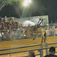 My first rodeo and this happens 😳