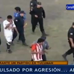 Futbolista agrede a un perro durante el partido