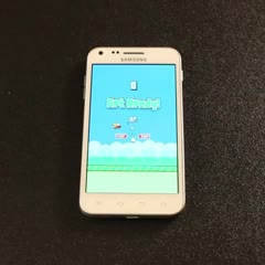 How To Beat Flappy Bird (Best Method)