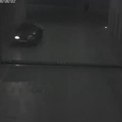 Car vs Gate