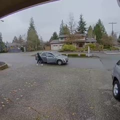 Package Thief Caught in the Act