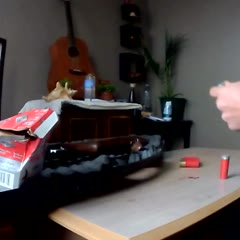 Shotgun Shell Falls Off Table
