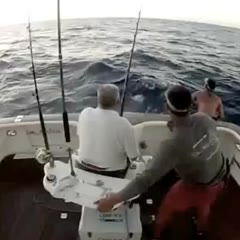 Funny Big Game Fishing