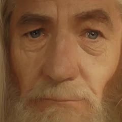 FRODO & GANDALF RETARDED