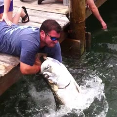 Fish Grabs Man's Arm