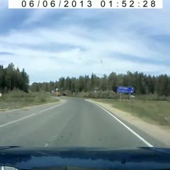 Car Gets Attacked By Tree