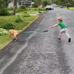 Dogs have had enough of kids