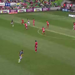 Orlando Engelaar Amazing Goal Vs Central Coast Round 24 2013-14