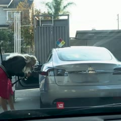 Woman tries putting gas in a Tesla