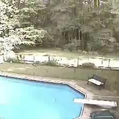 Car Vs Swimming Pool