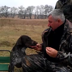 Ukrainian Dog Fetches Vodka