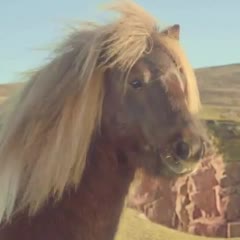 Three - The Pony - Moonwalking Shetland Pony: The Advert Sequel